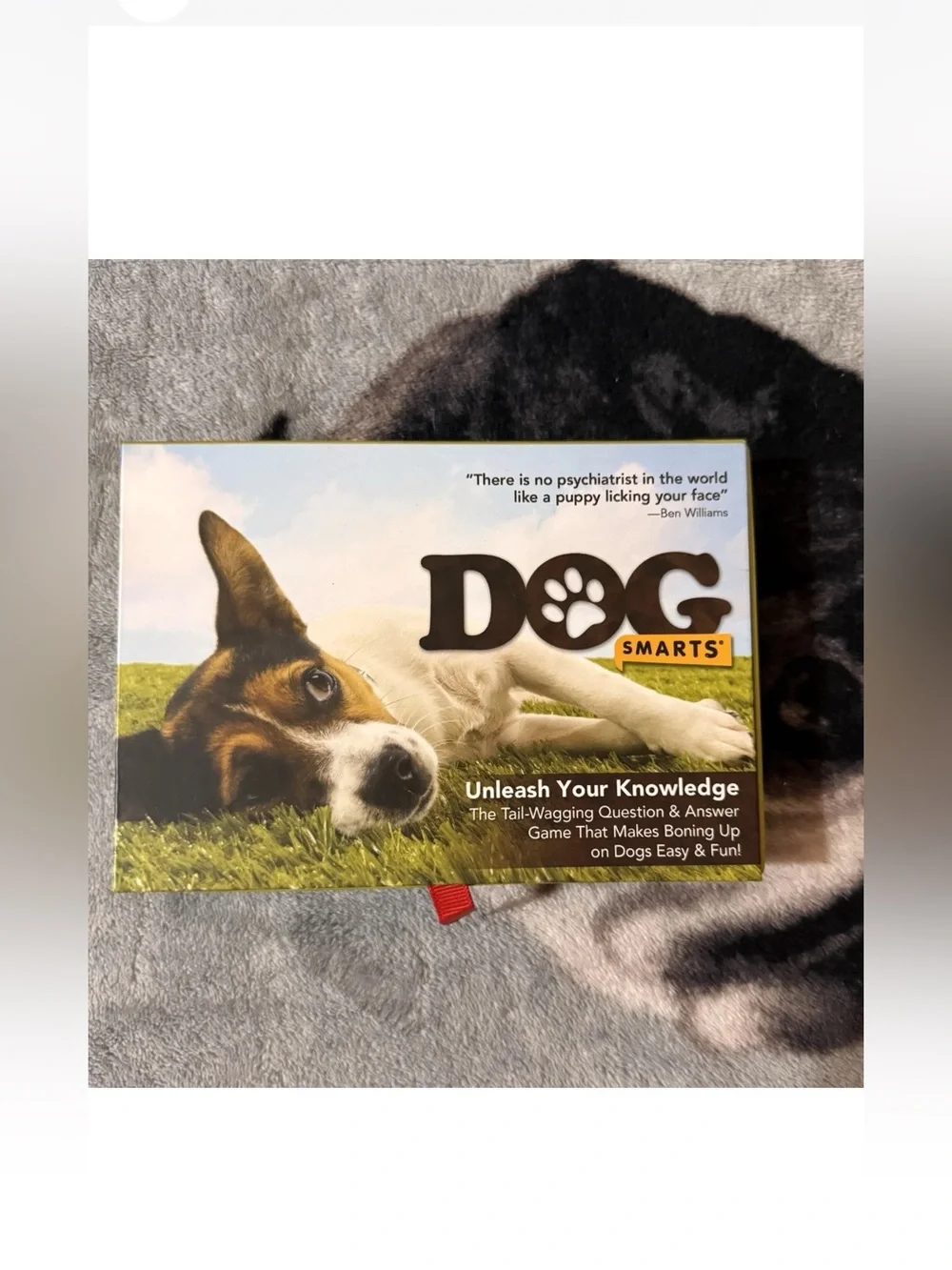 Dog Smarts Game